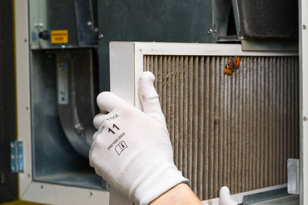 Best Affordable HVAC Duct Cleaning  in Hackleburg, AL
