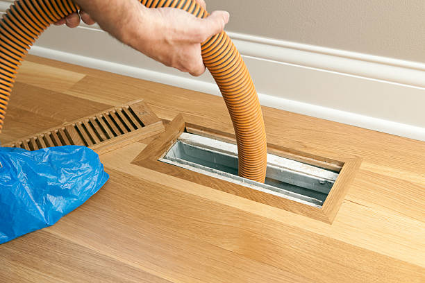 Best Affordable Air Duct Cleaning  in Hackleburg, AL
