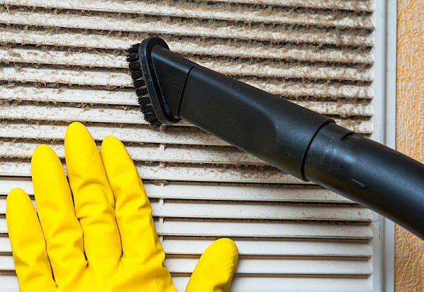 Best Local Air Duct Cleaning Services  in Hackleburg, AL